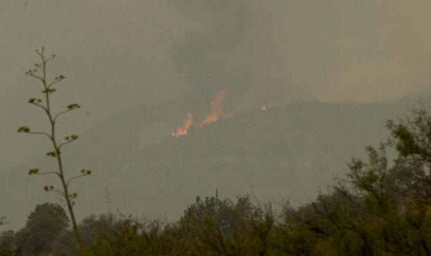 The Nuttall Complex Fire in 2004